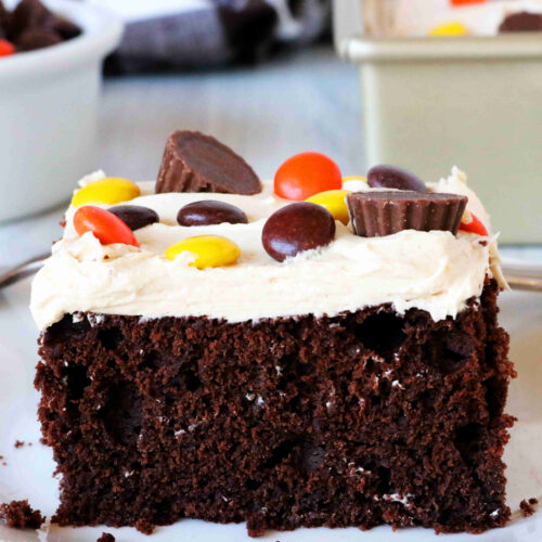 Chocolate Peanut Butter Cake