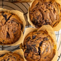 Chocolate Peanut Butter Muffins Recipe