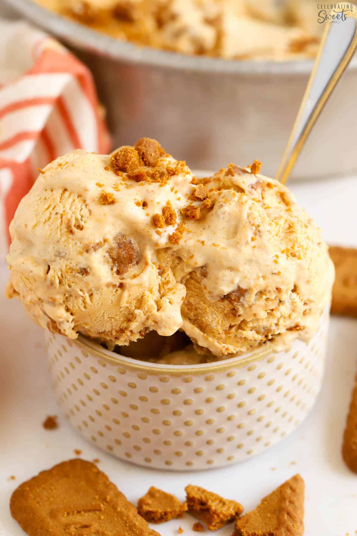 No Churn Pumpkin Ice Cream Recipe