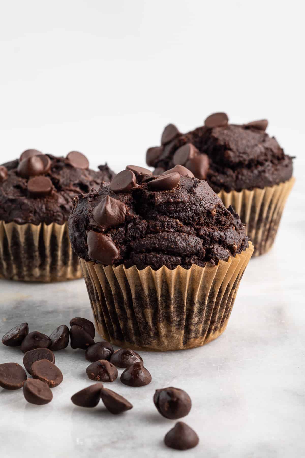 Chocolate Pumpkin Blender Muffins Recipe