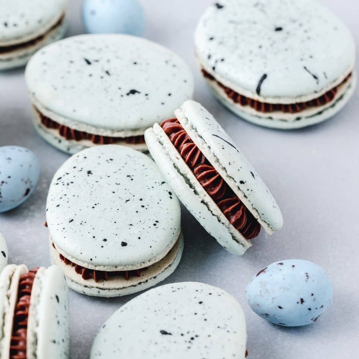 Robin’s Egg Macarons with Chocolate Filling