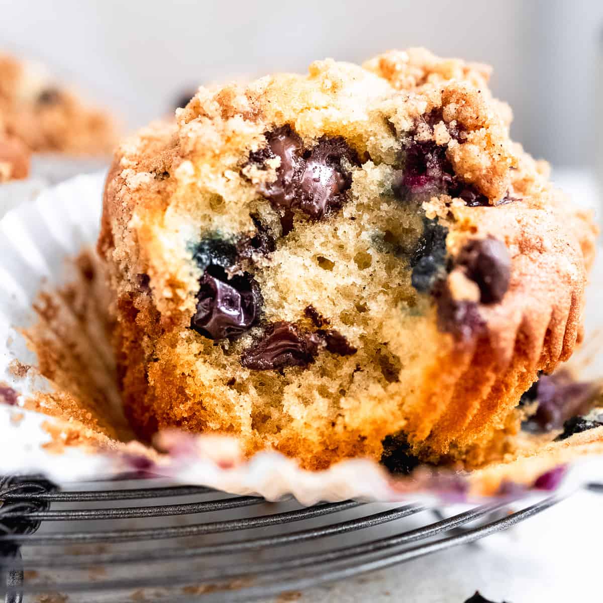 Blueberry Chocolate Chip Muffins