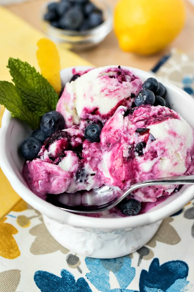 LEMON BLUEBERRY FROZEN YOGURT