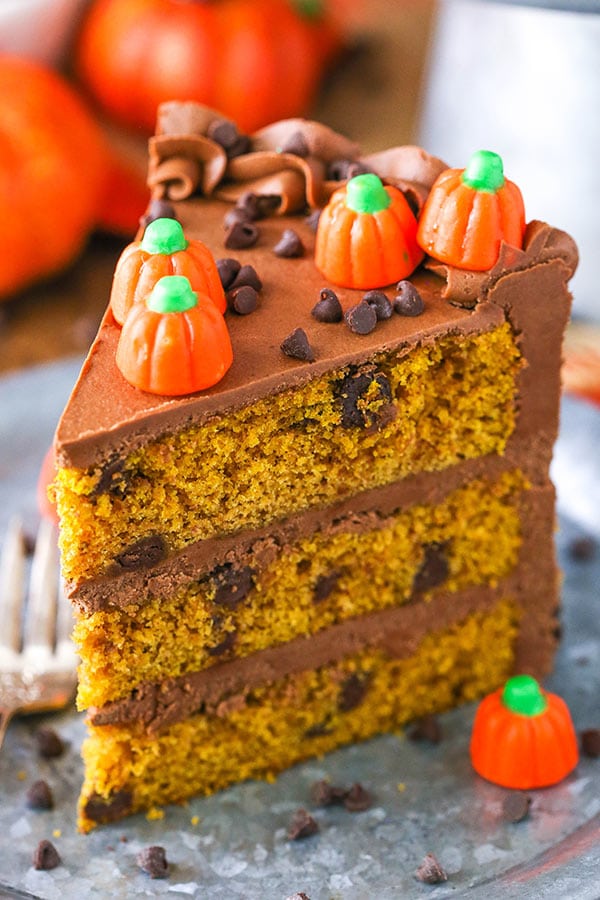 Pumpkin Chocolate Chip Cake