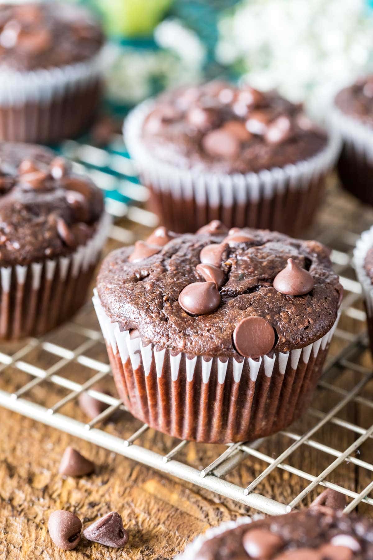Chocolate Zucchini Muffins