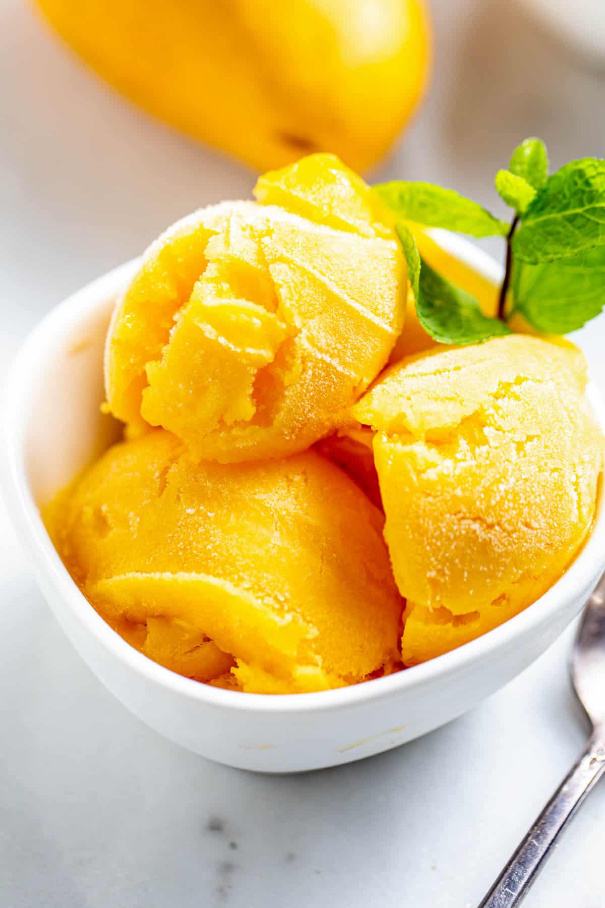 MANGO SORBET